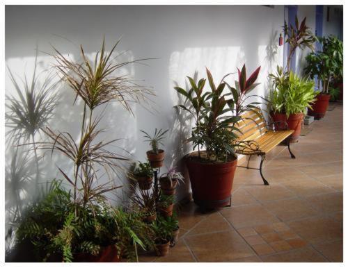 ماساتلان Suitel 522 Eco Hostel المظهر الخارجي الصورة