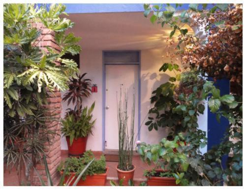 ماساتلان Suitel 522 Eco Hostel المظهر الخارجي الصورة