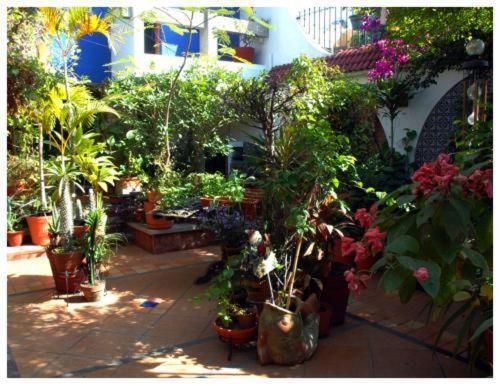 ماساتلان Suitel 522 Eco Hostel المظهر الخارجي الصورة
