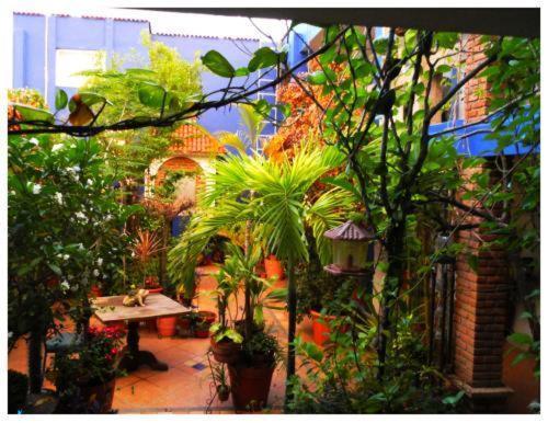 ماساتلان Suitel 522 Eco Hostel المظهر الخارجي الصورة